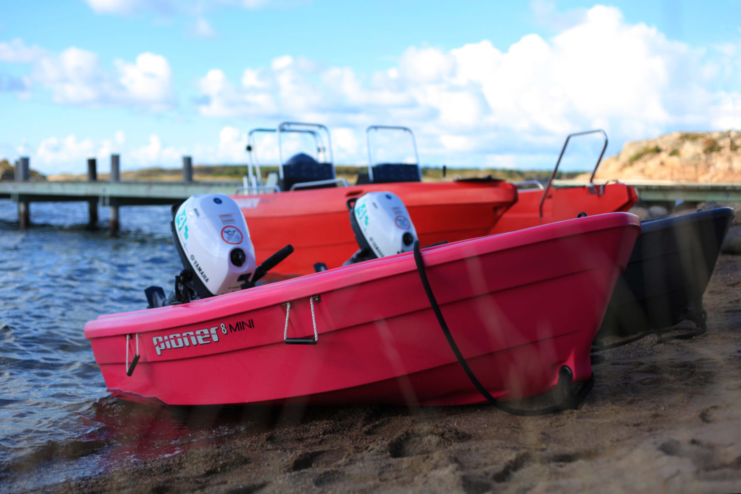 Pioner-8-mini-Gallery1